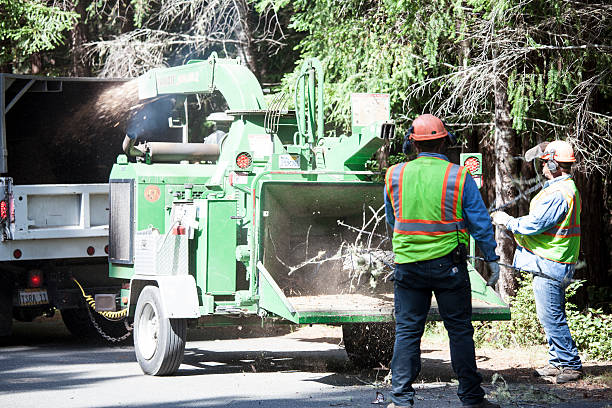 Pomeroy, OH Tree Services Company